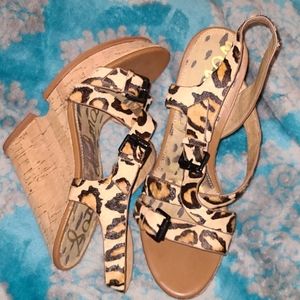 Leopard wedges (Sam Edelman) 👡